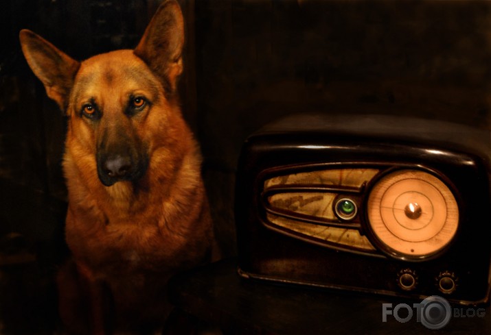 skumjais radioklausītājs