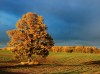 Rudens kā rudens