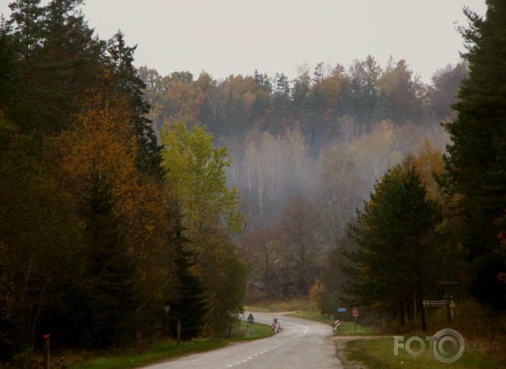 ...rudens migliņa