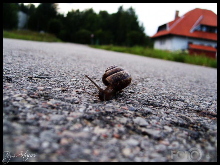 Too fast 4 you