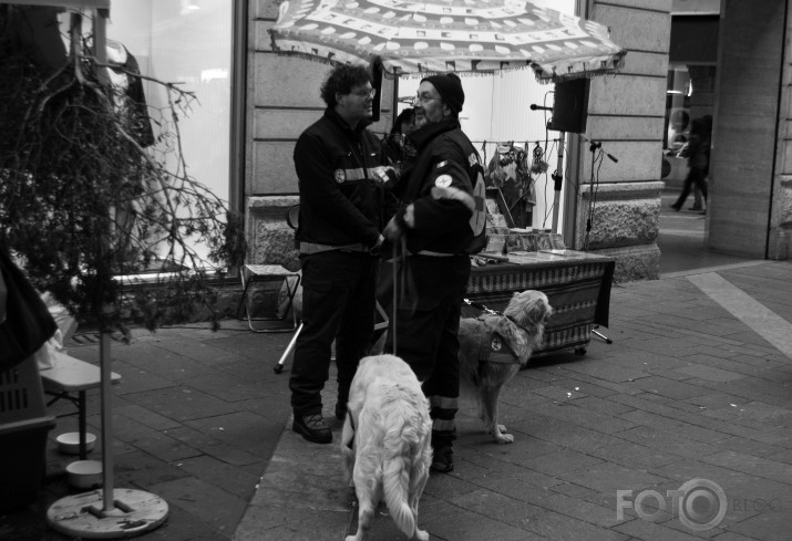 Malé, Trento (IT)