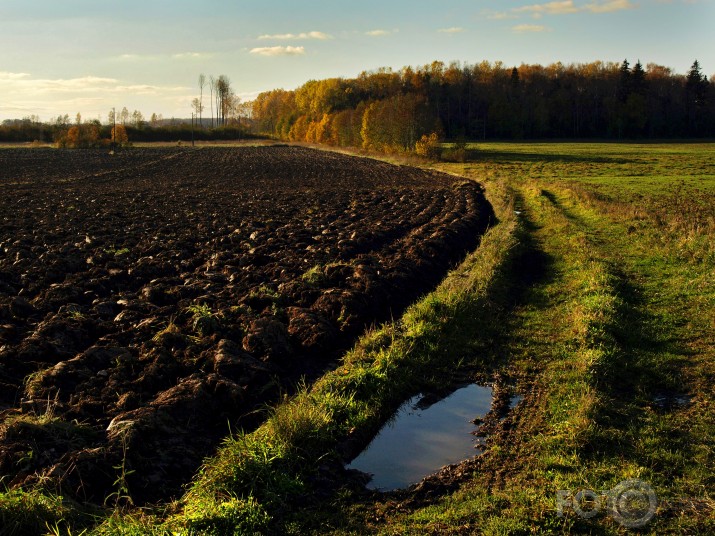 Rudens pievakare