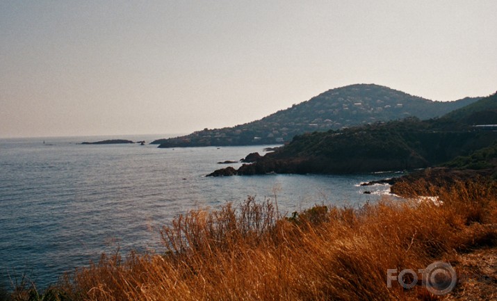 Vidusjūra