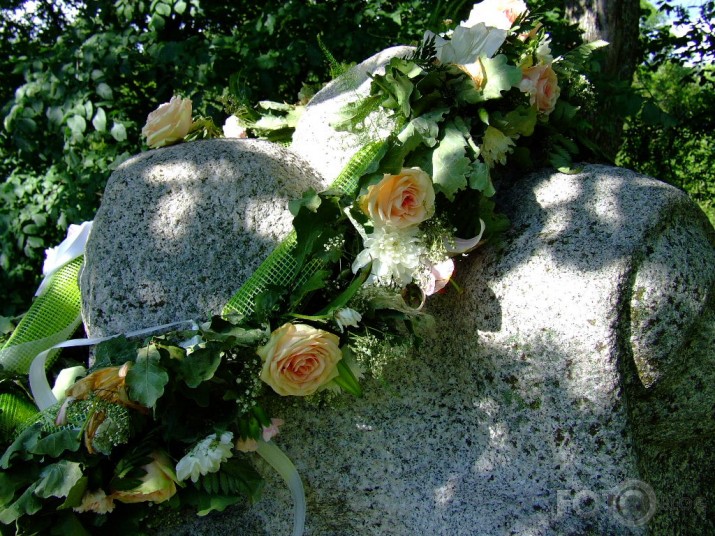 Vairas Saule