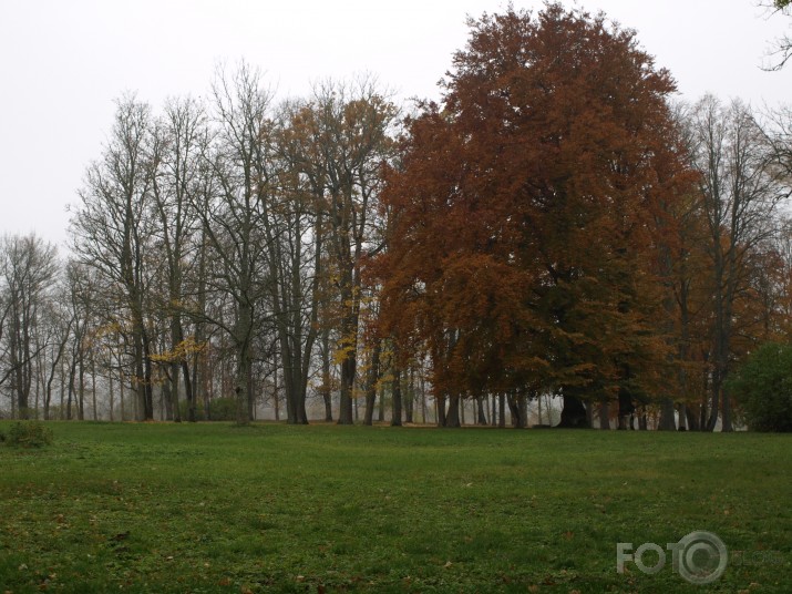 sartais rudens