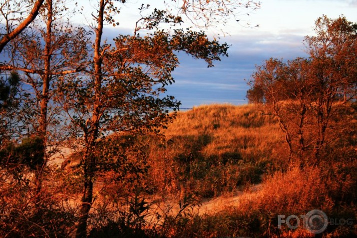 rudens k-kaac...