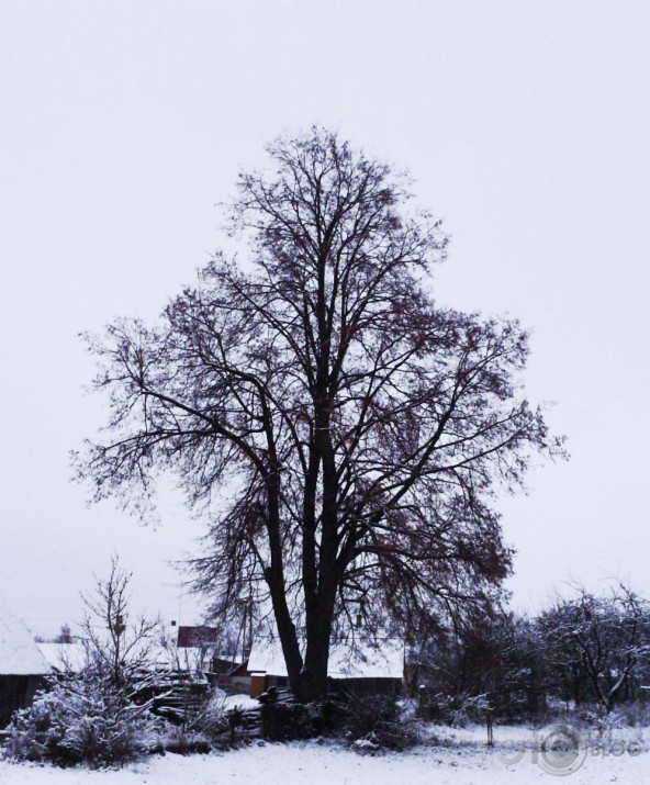 Kaimiņa.