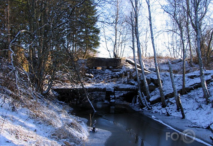 vēstures liecinieki