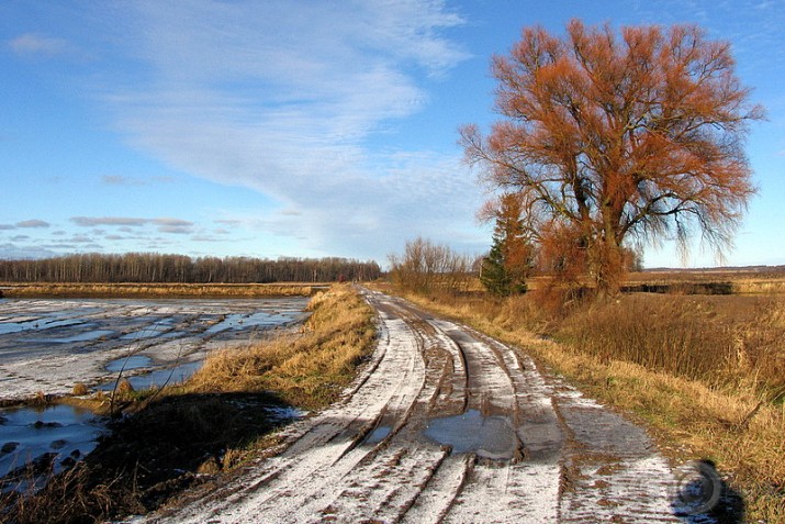 vēstures liecinieki