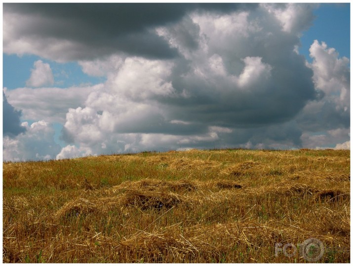 Windows XP variācija