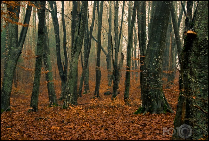 Skabārdzis.Dižais