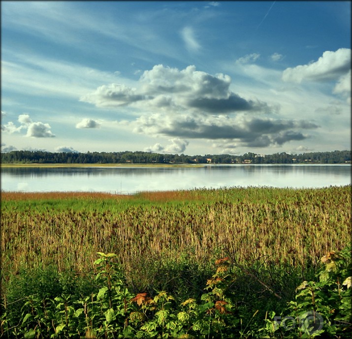 mākoņlaivas