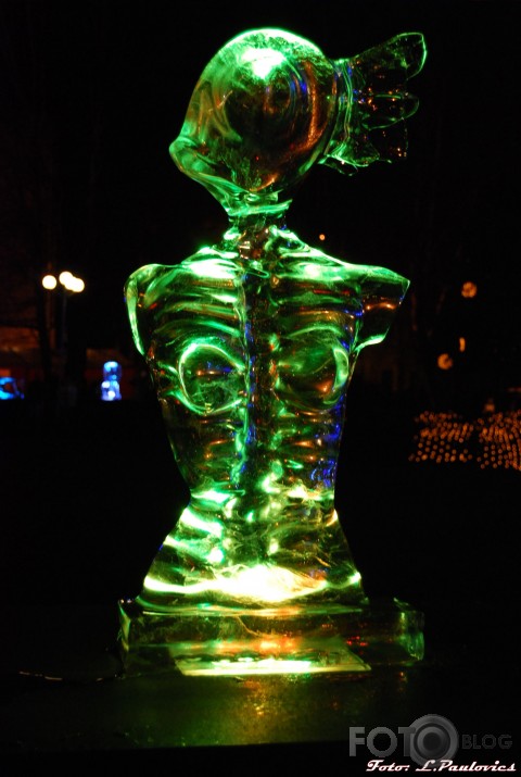 Ledutiņš 2008