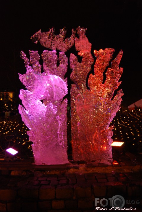 Ledutiņš 2008