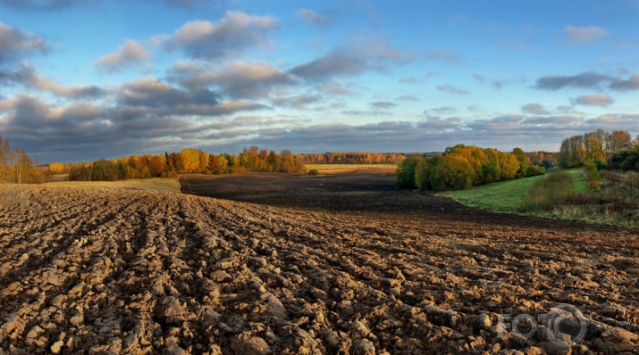 Latvijas āres