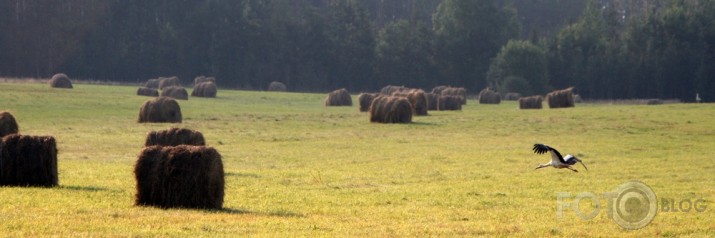 Latgales svētelis.