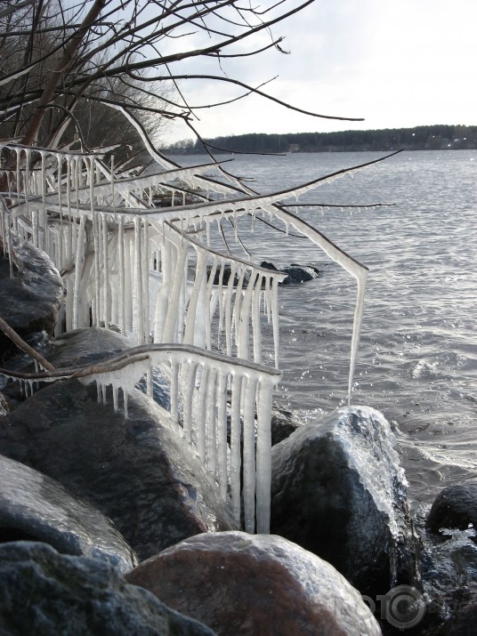 Saule. Ledus. Daugava.