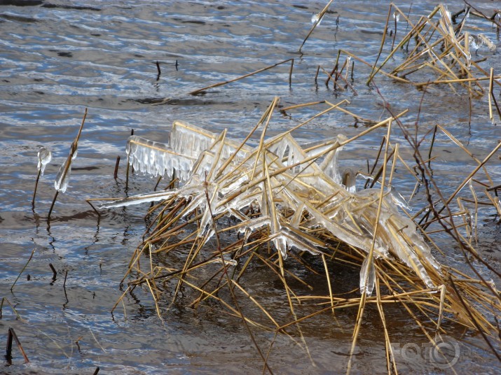 Saule. Ledus. Daugava.