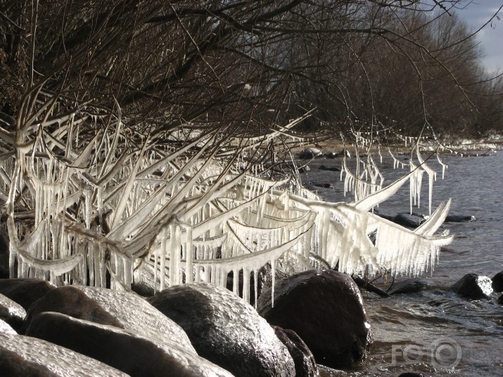 Saule. Ledus. Daugava.