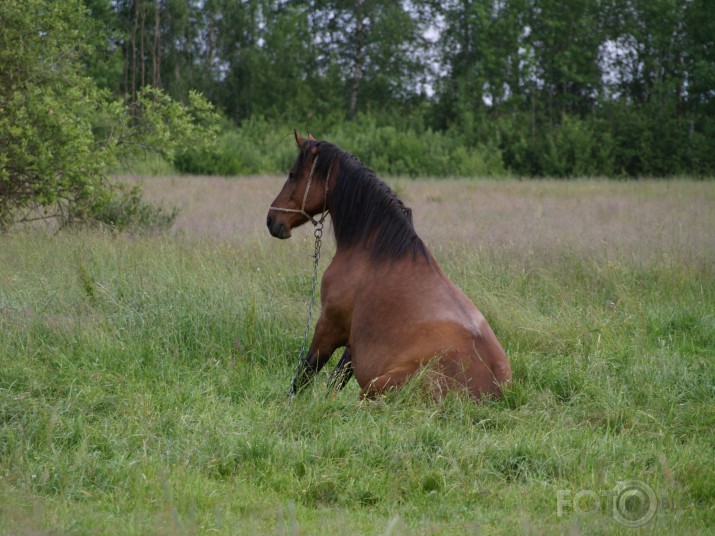 Rīta meditācija