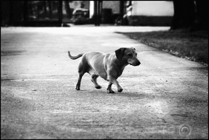 taxi.