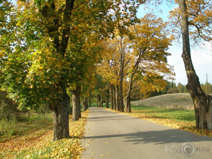 zelta rudens.