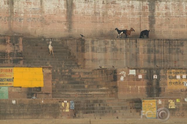 Stairs at Ganga river