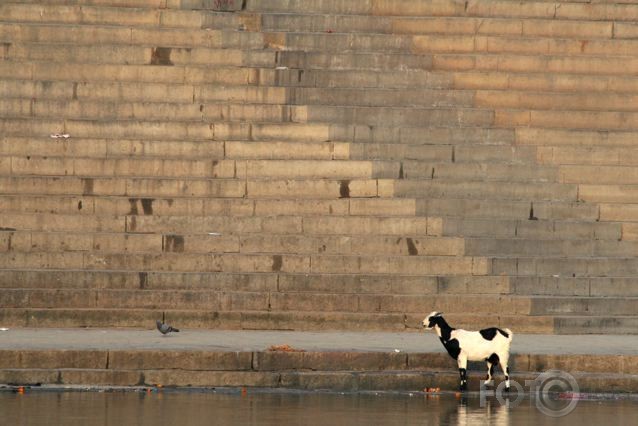 Stairs at Ganga river