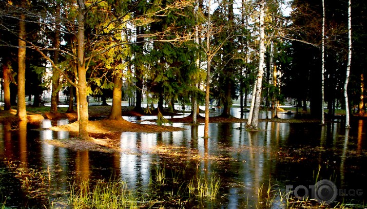 Siguldas parks pirms Ziemassvētkiem