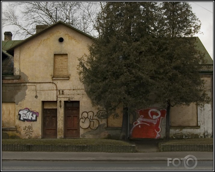 Zobaiņi Rīgas ielās