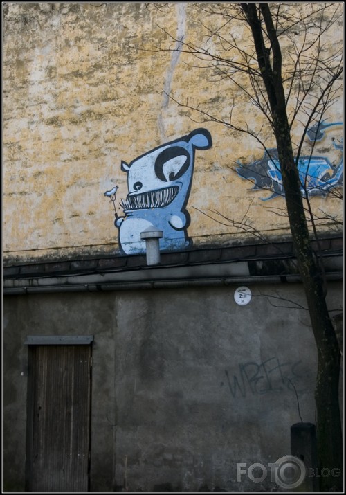 Zobaiņi Rīgas ielās