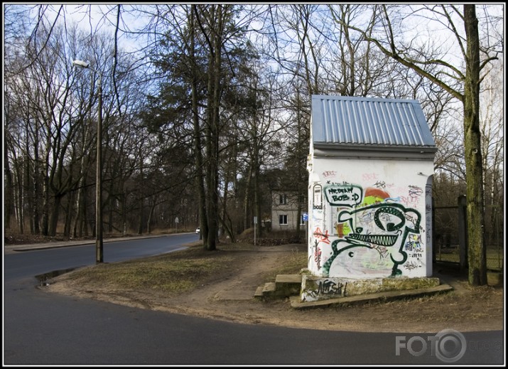 Zobaiņi Rīgas ielās