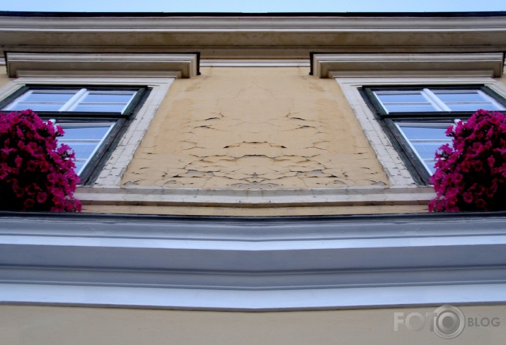līnijas