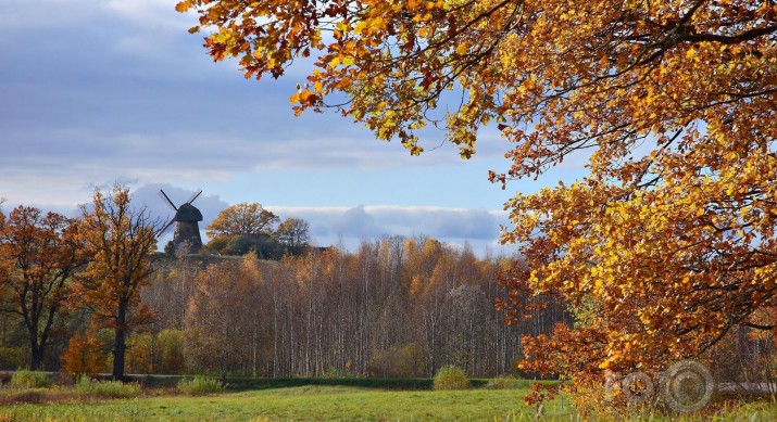 Rudens