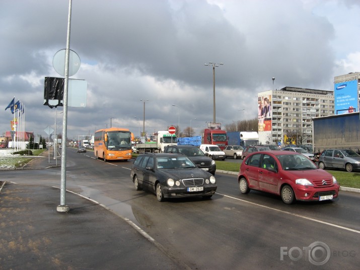 2. daļa. Parastie bezkauņas