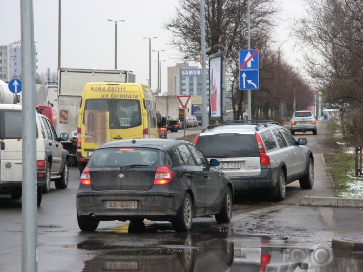 3. daļa. Lielie bezkauņas