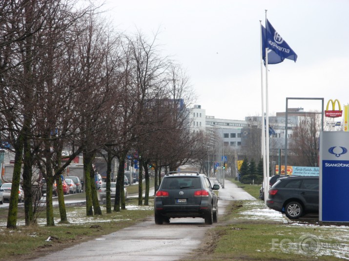 3. daļa. Lielie bezkauņas