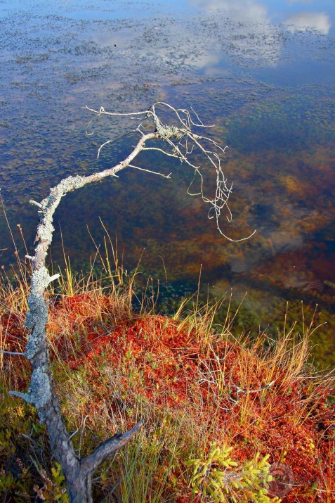 Rudens krāsas.