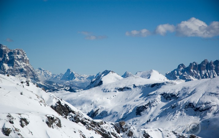 Alpi