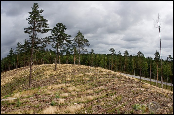 Kaupēna Dziesma