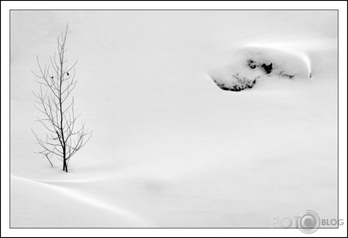 ..balts..