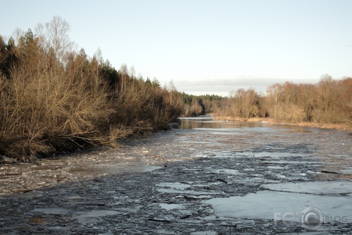 Gauja