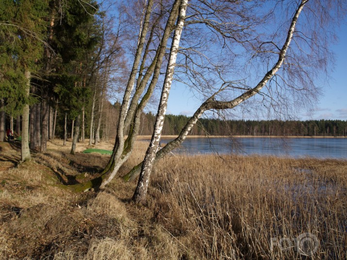 Janvāris ... vai tomēr Marts jau?