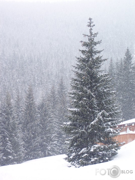 Let it snow in Czh.