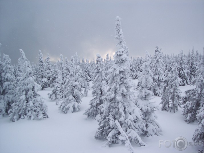Let it snow in Czh.