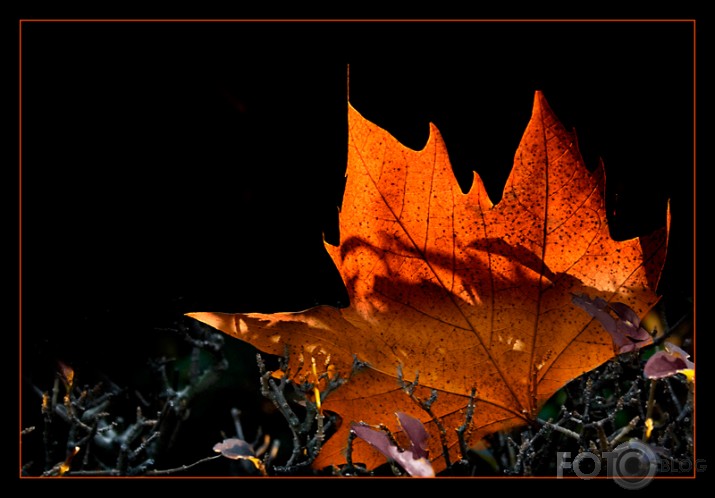 no rudens