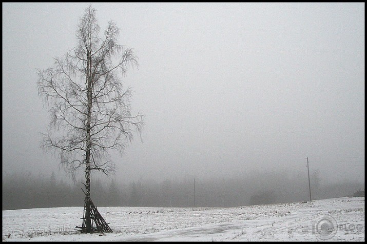 Migla...