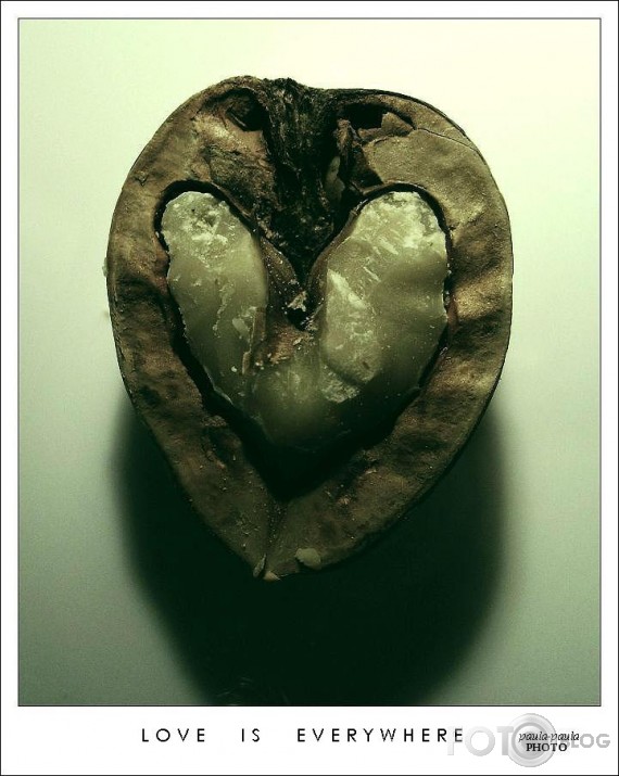 Love is everywhere