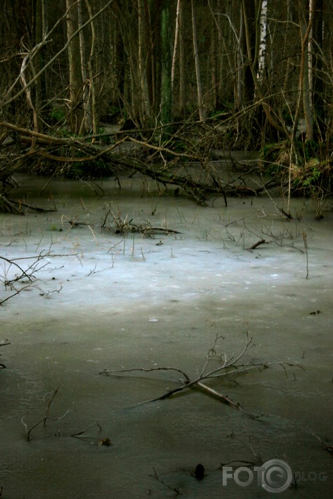blackwater park