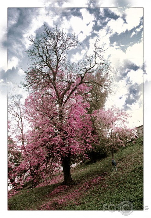 Rudens uzziedējis.